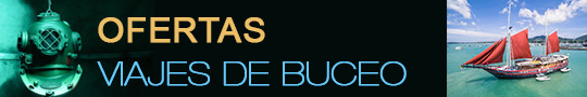 banner BuscaBuceo - OFERTAS DE VIAJES DE BUCEO