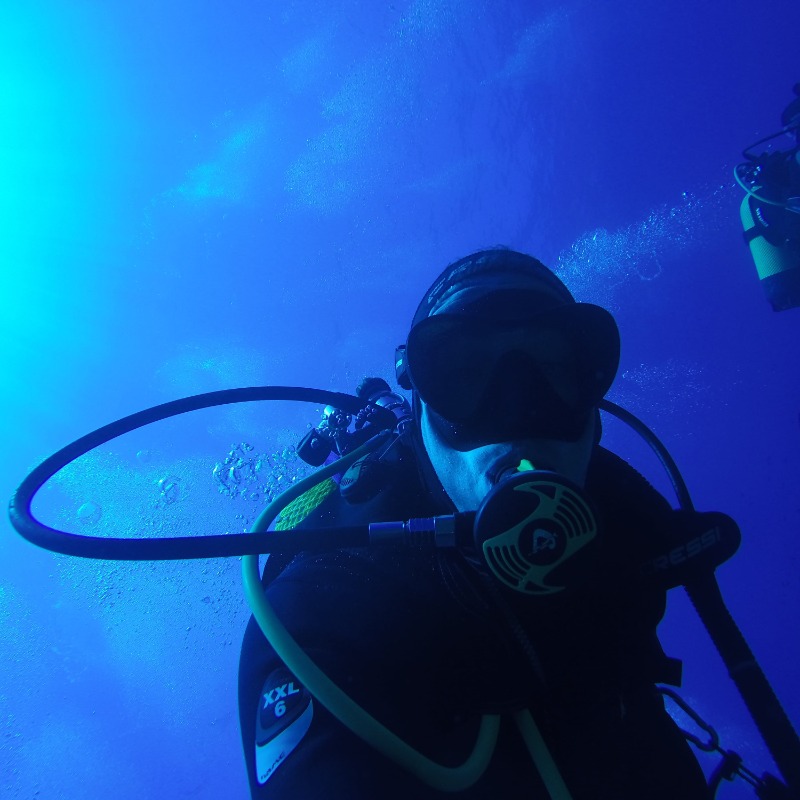 Alain Villaverde Vacas