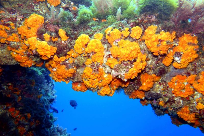 La Piedra del Zacatín - Granada Embarcadero de Calahonda España