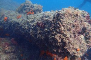 LA PIEDRA QUE REVIENTA - Cádiz Conil de la Frontera Spain foto 2