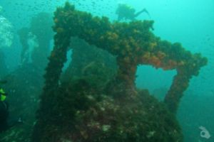 PECIO DEL SAN ANDRES - Cádiz Tarifa Spain