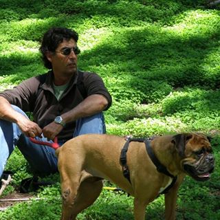 De Armas Dibujos A Plumillas Hernandez