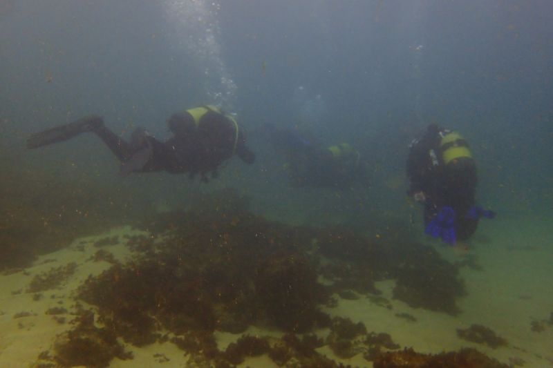 CANTABRICO, PEDREÑA, LA CATEDRAL - Cantabria PEDREÑA España