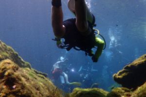MEXICO, QUINTANA ROO, CENOTE TAJMA HA - Quintana Roo cenote tajma ha México foto 1