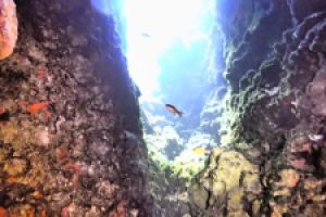 BLUE HOLE, GOZO, MALTA -  San Lawrenz Malta foto 4