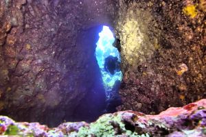 BLUE HOLE, GOZO, MALTA -  San Lawrenz Malta foto 5