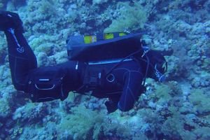 ELPHISTONE REEF, MARSA ALAM, EGIPTO -  MARSA ALAM Egipto foto 5
