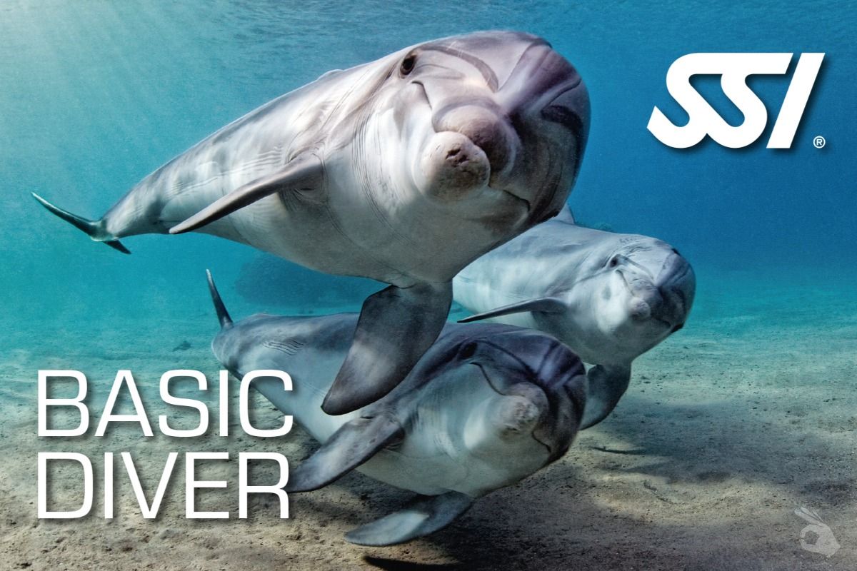 Bautismo mejorado (1 Piscina  + 1 Inmersión en mar)