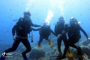 Active Scuba Divers Foto 13