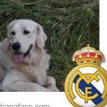 F Javier Merideño Maestre