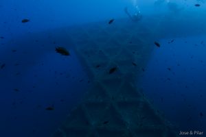 LA PLATAFORMA - Baleares Formentera Spain foto 6