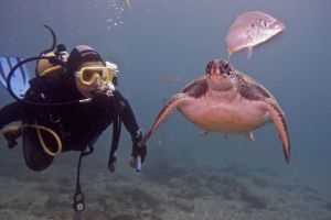 Puertito de Adeje - Santa Cruz de Tenerife Los Cristianos Spain foto 1
