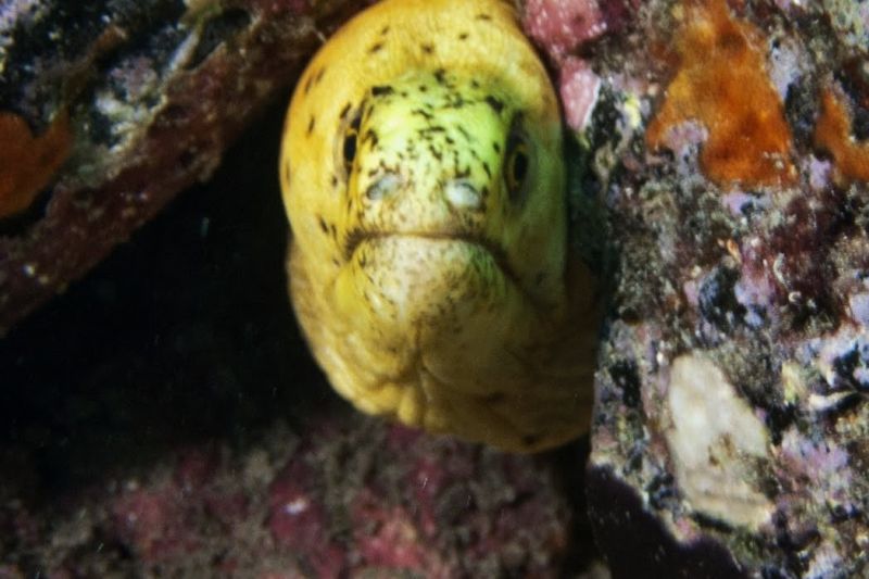 El Bajonito - Santa Cruz de Tenerife Marina San Miguel Spain