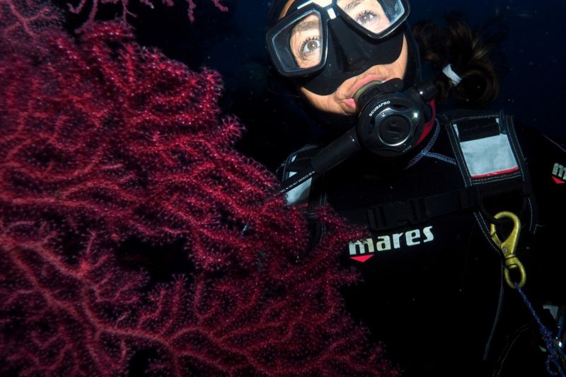 Ibiza, Es Vedrá,  Racó de Sa Bastorre,  - Baleares CALA D`HORT . IBIZA Spain