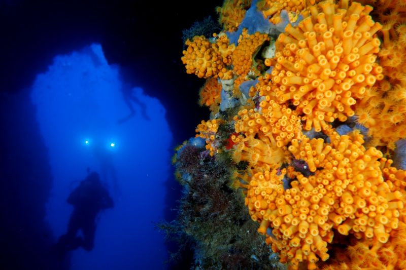  IBIZA, ES VEDRÁ, LOS CAÑONES DE ES VEDRANELL
