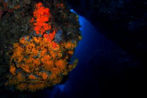  IBIZA, ES VEDRÁ, LOS CAÑONES DE ES VEDRANELL - Baleares Cala D`Hort España foto 2