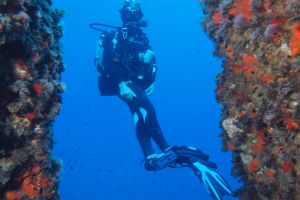  IBIZA, ES VEDRÁ, LOS CAÑONES DE ES VEDRANELL - Baleares Cala D`Hort España foto 3