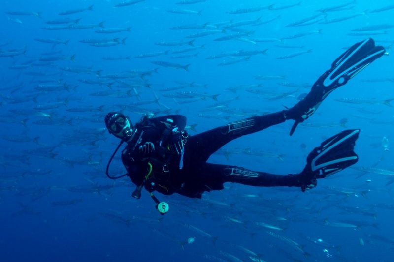 Formentera, Es Banc - Baleares Formentera Spain