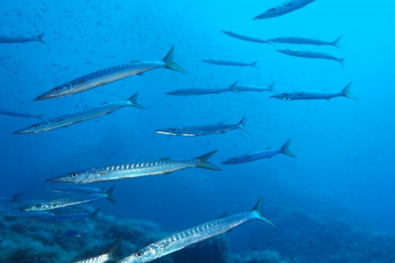Formentera, Punta Prima - Baleares Es Pujols, Formentera Spain
