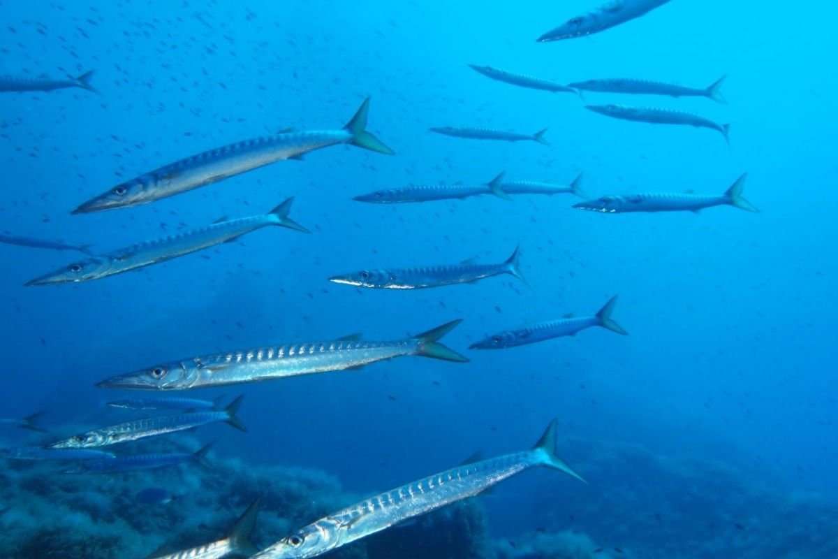 Formentera, Punta Prima - Baleares Es Pujols, Formentera España