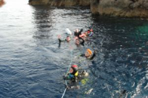 Ibiza , Ses Margarides - Baleares Cala Comte, Ibiza España foto 5