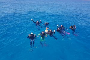 LLOSA FIGUERAL-IBIZA-BALEARES - Baleares Cala de Sant Vicent España foto 3