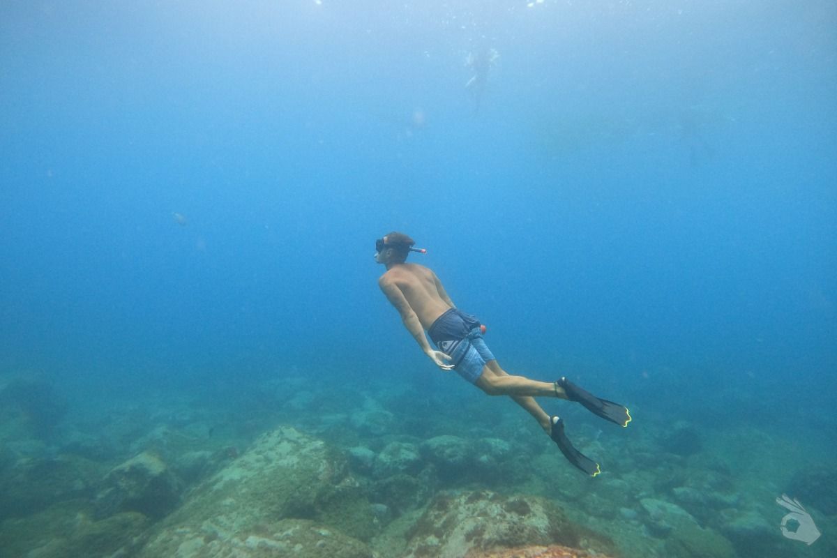 SNORKEL DESDE EL BARCO