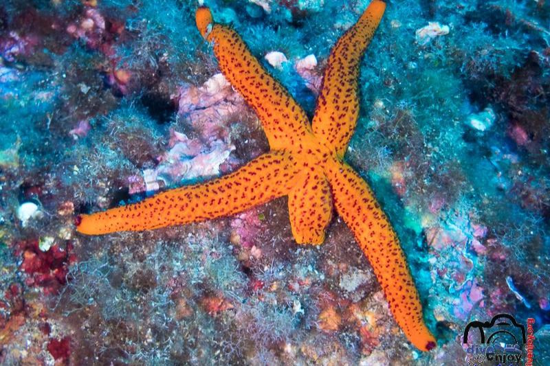 La Llosa de Platja d'Aro - Barcelona Platja d'Aro Spain