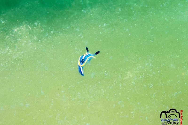 La Virgen - Barcelona Port Balís Spain