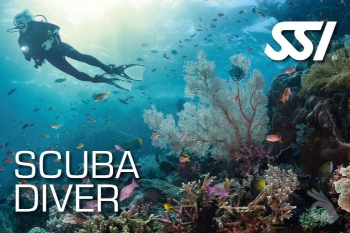 SCUBA DIVER EN TENERIFE