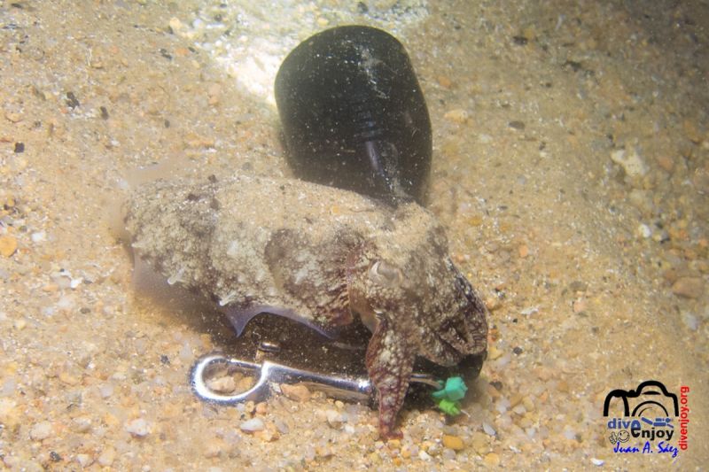 Mataró - Barcelona Arenys de mar Spain