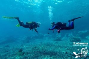 Scubanana Dive Center Foto 14