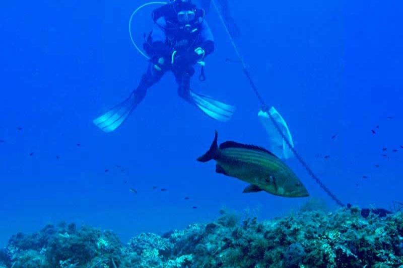 PIEDRAS DE JUANITO - LAS NEGRAS - ALMERIA - Almería Las Negras Spain