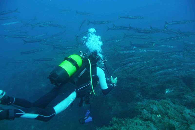 PIEDRA DE LOS PATOS CARIBEÑA - LAS NEGRAS - ALMERIA - Almería Las Negras Spain
