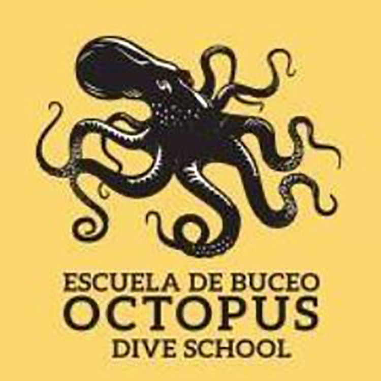 OCTOPUS BUCEO BOLONIA