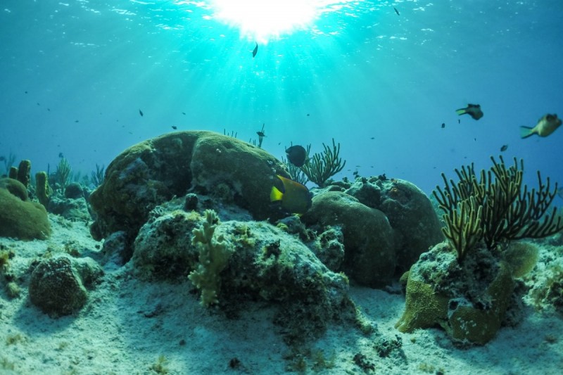 SANTA CRISTINA - CALA CANYELLES - GIRONA - Girona Port Cala Canyelles España