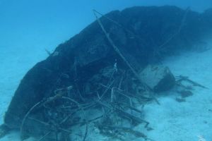 Scuba Sur Diving Gran Canaria Foto 8