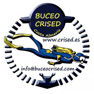Buceo Crised