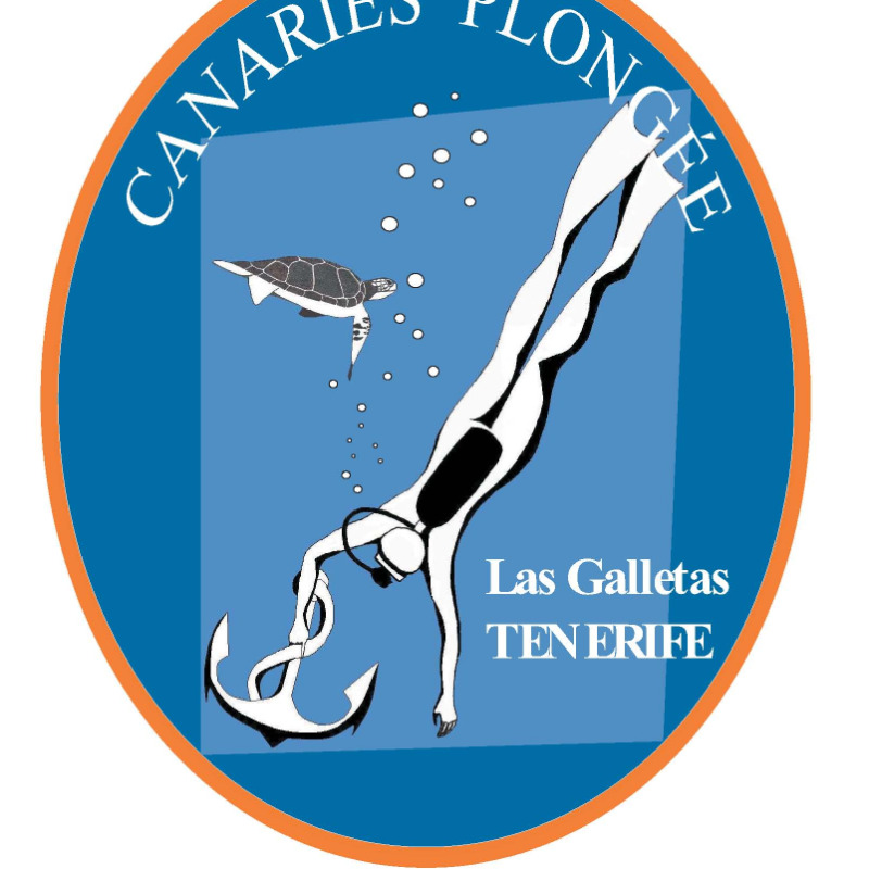 CANARIES PLONGEE con OCEAN DIVING TENERIFE