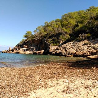 M Carmen Montes Contreras