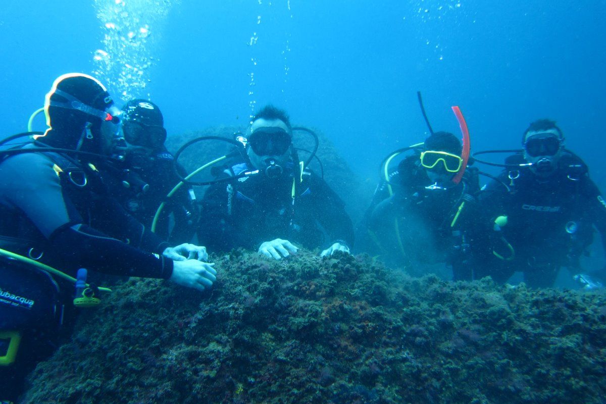 curso de buceo open water padi en valencia