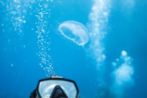 curso open water Padi  en Valencia Foto 2