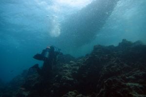 SARDINE RUN -  Panagsama Philippines foto 3