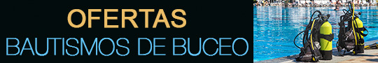 banner BuscaBuceo - OFERTAS DE BAUTISMOS DE BUCEO