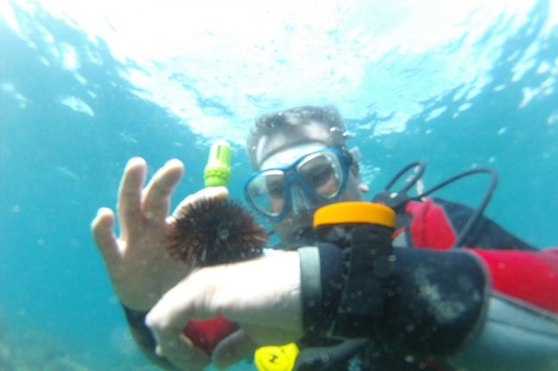 CALA GIVEROLA - Girona Tossa de Mar España