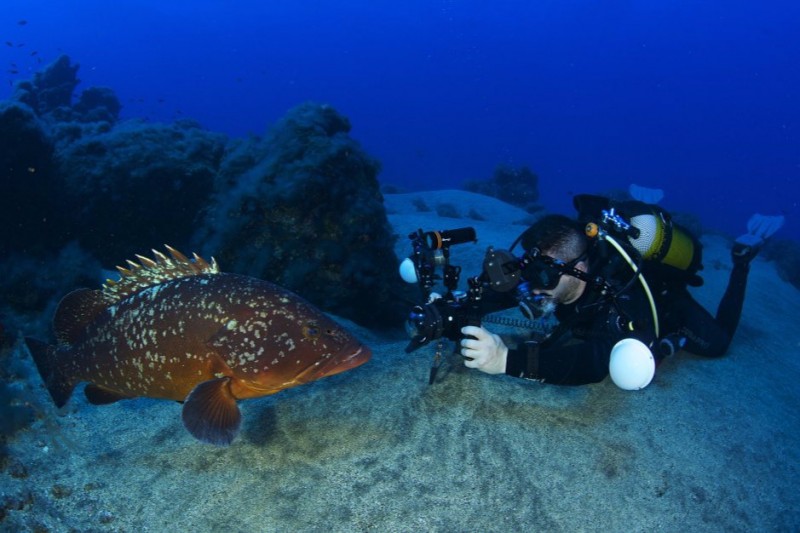 BAJA ROSARIO - LA RESTINGA - EL HIERRO - Santa Cruz de Tenerife La Restinga España