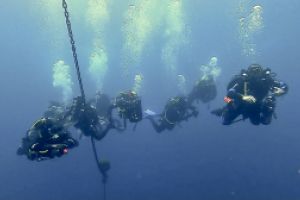 LEON MARINO TARIFA Foto 26