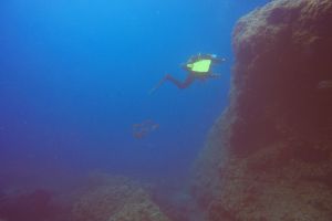 PUNTA LAS ANIMAS - Murcia La Azohía España foto 1