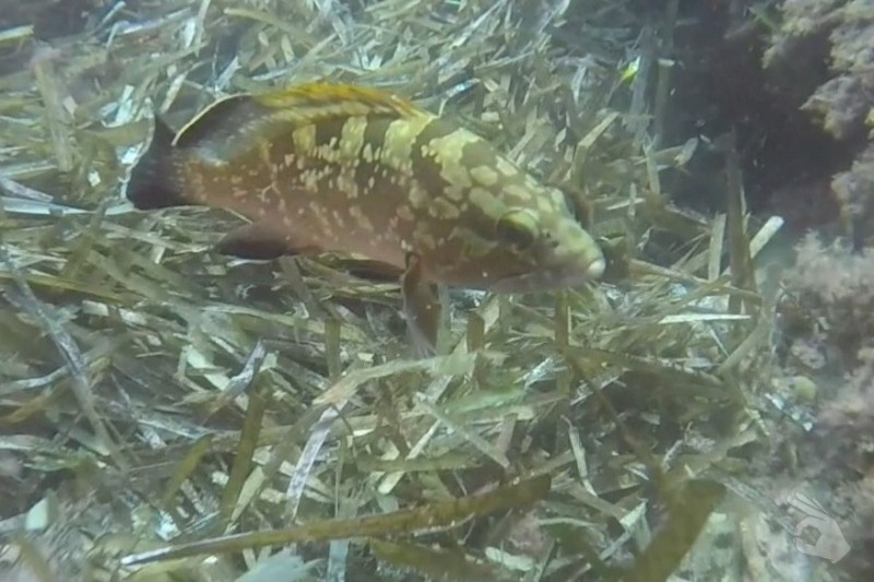 LOS CAÑONES- CARBONERAS- ALMERIA - Almería Carboneras España