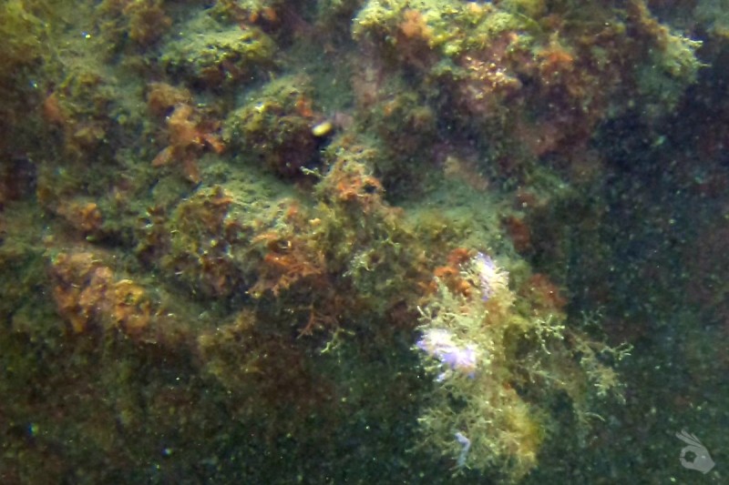 EL EMBARCADERO, CALAHONDA, GRANADA - Granada Calahonda España